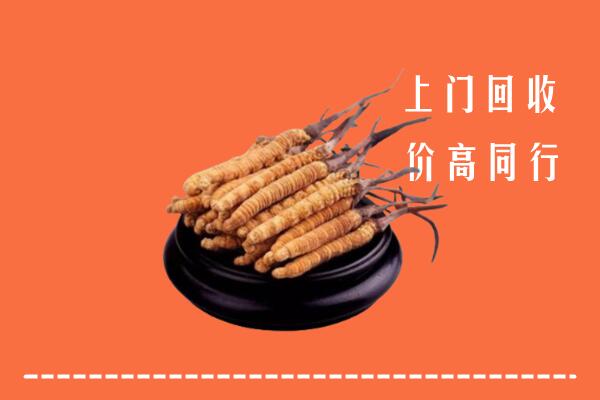 高价求购：遂昌县回收散虫草