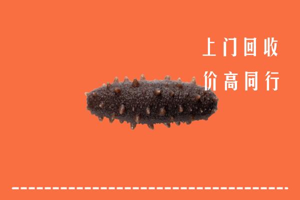 高价求购：遂昌县回收海参
